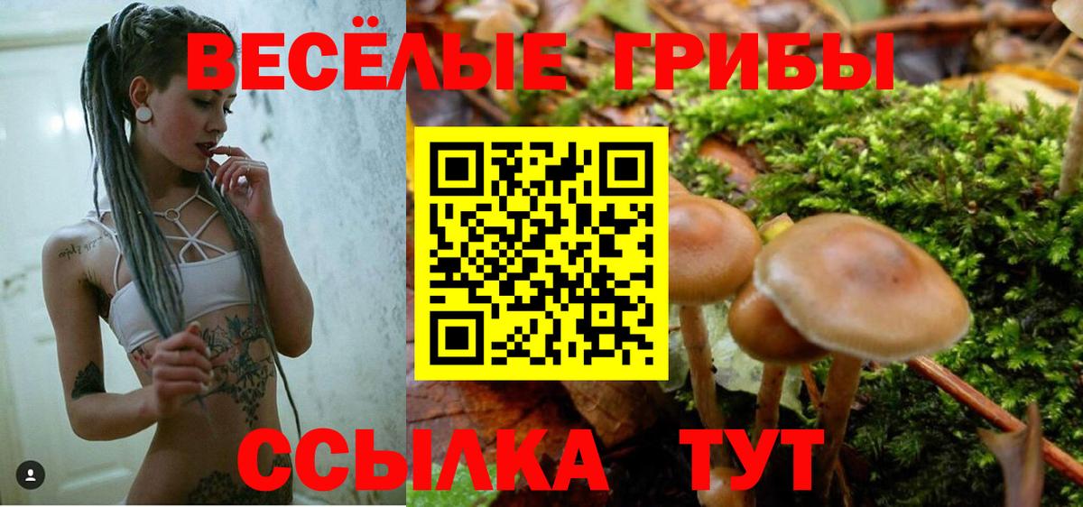 Псилоцибиновые грибы мухоморы Нарткала