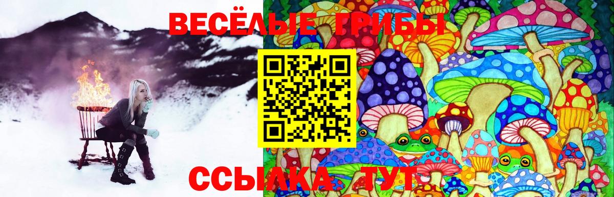 Нарткала  Галлюциногенные грибы Magic Shrooms  Вход с VPN 